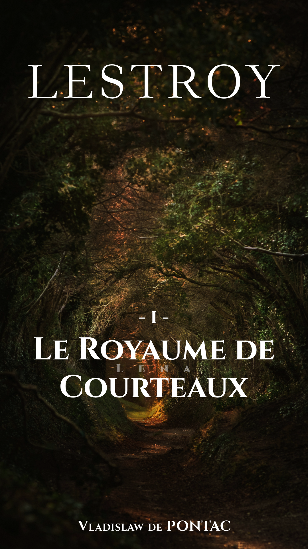 Image Unsplash remixée représentant la première de couverture du livre.