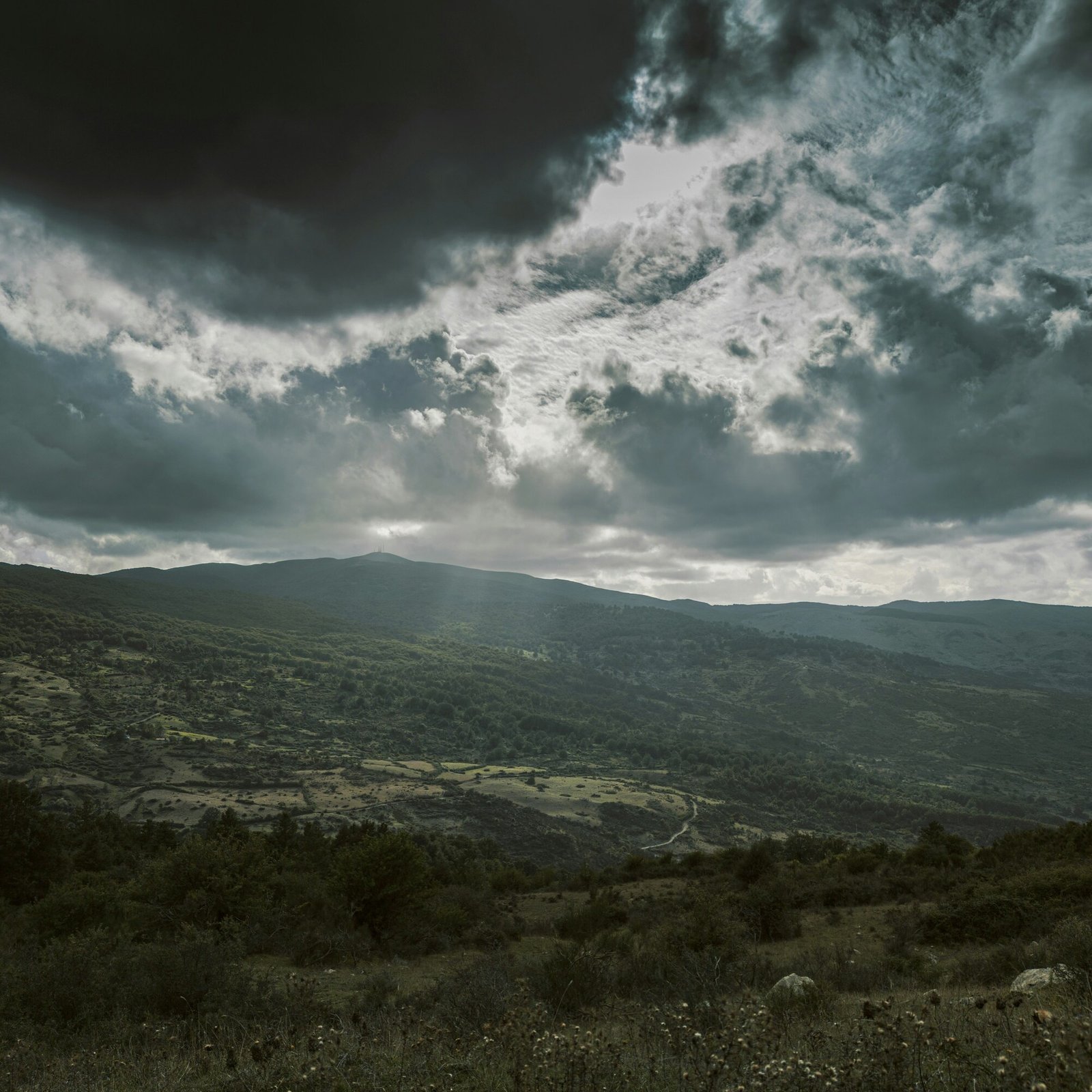 Image remixée représentant un paysage du royaume de Courteaux.